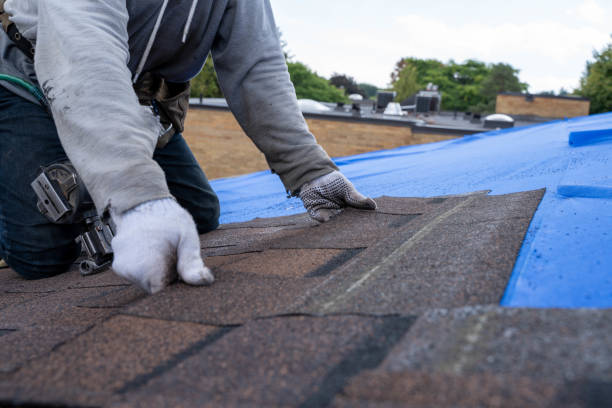 Best Roof Inspection Near Me  in Camp Barrett, VA