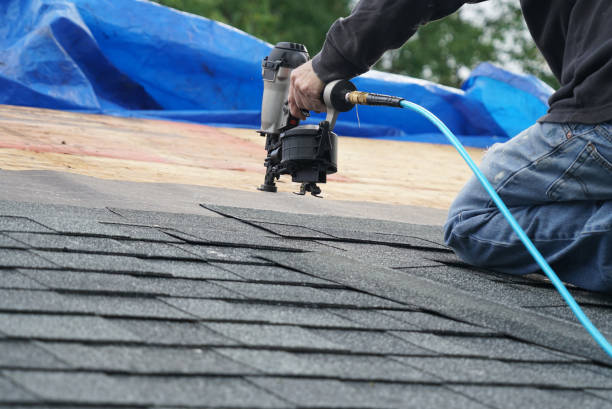 Best Gutter Installation and Roofing  in Camp Barrett, VA